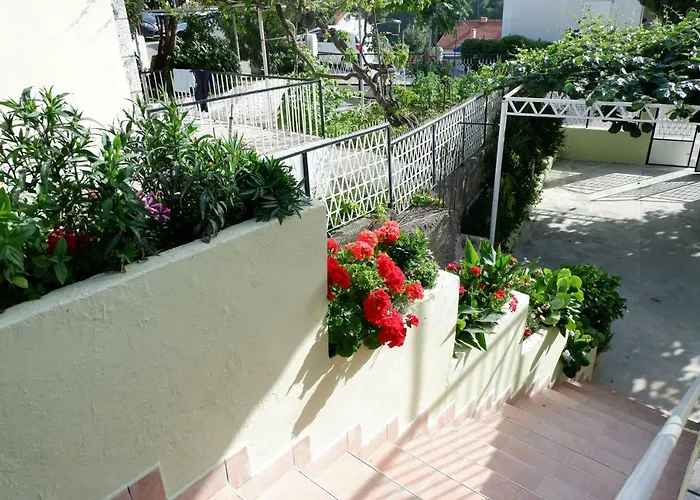 Epidaurum * 察夫塔特